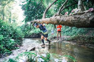 BIB: 
                            <button type="button" onclick="openModal(25433863)" class="btn btn-primary btn-sm float-right btn-popup" data-toggle="modal" data-target=".modal-high-quality">
                        <i class="fas fa-shopping-cart"></i> Add to Cart
                    </button>
                                            <button type="button" onclick="isThisMe(25433863, true)" class="btn btn-success btn-sm float-right btn-popup btn-isme hidden" data-toggle="tooltip" data-placement="bottom" title="นี่คือรูปของคุณใช่ไหม คลิกที่นี่เพื่อเอาเข้าอัลบั้ม">
                        <i class="fas fa-plus"></i> Add to album
                    </button>
                    <button type="button" onclick="isThisMe(25433863, false)" class="btn btn-warning btn-sm float-right btn-popup btn-isnotme hidden">
                        <i class="fas fa-ban"></i> Remove from album
                    </button>